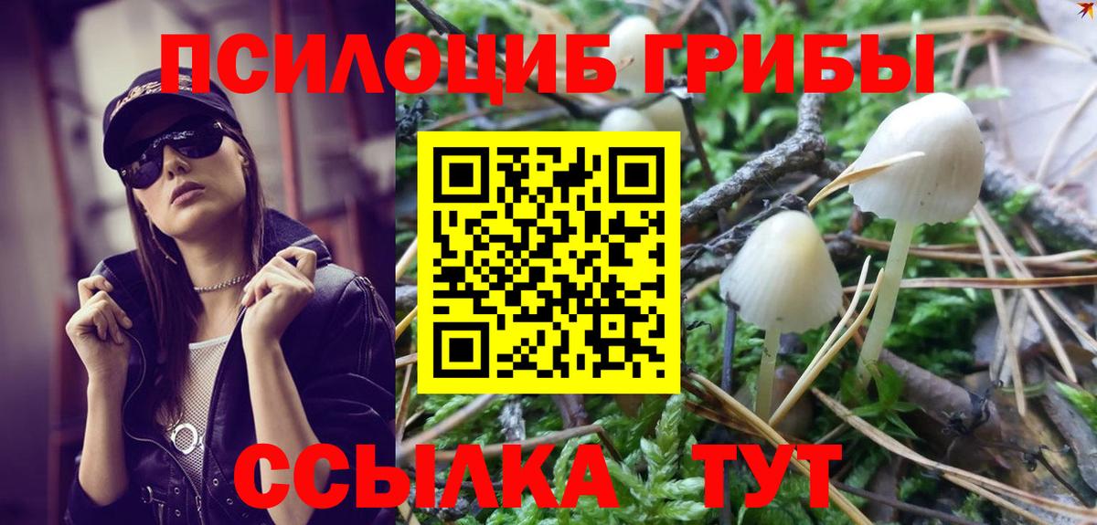 Галлюциногенные грибы Psilocybe Заинск